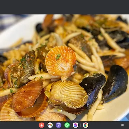 Apartment Bela ***** *